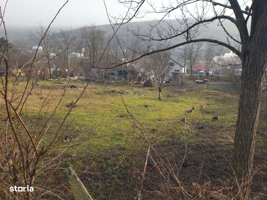 Vulturi ( Vanatori )  – IASI - Teren intravilan ideal constructie casa-1