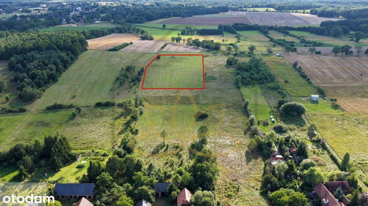 Buduj marzenia – działki już czekają! - Pełny obrazek: 4/7