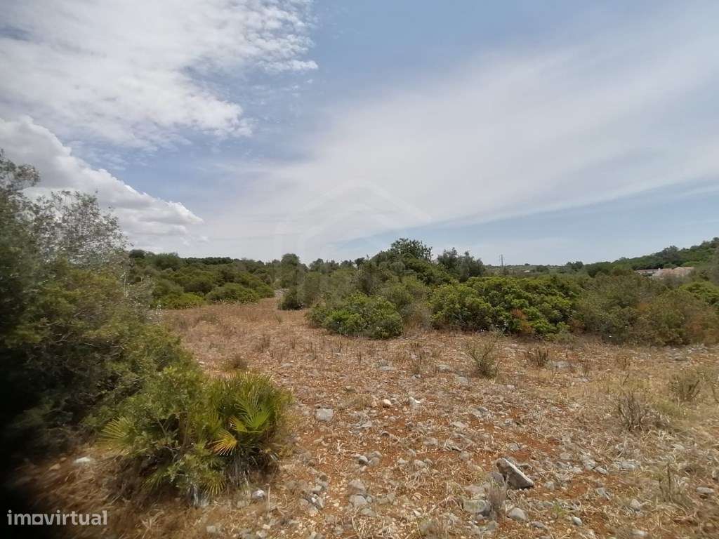 Terreno rústico junto à A22 na Mexilhoeira Grande, Algarve - Grande imagem: 5/15
