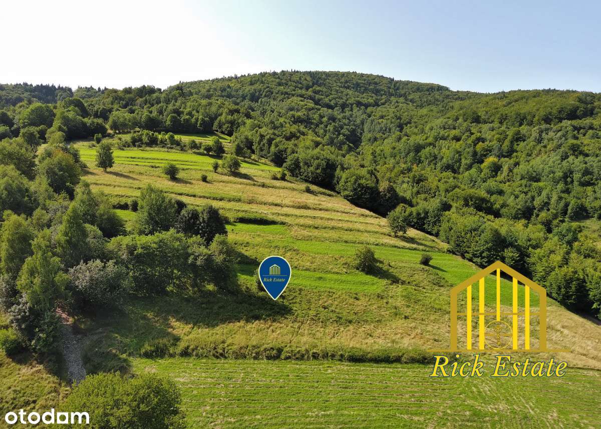 Oaza spokoju z górskim krajobrazem-17