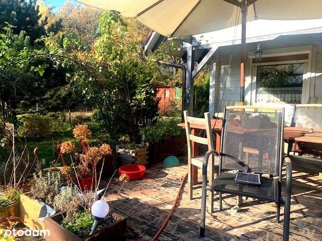 Piękny dom w lesie.., Dabcze - Pełny obrazek: 4/16