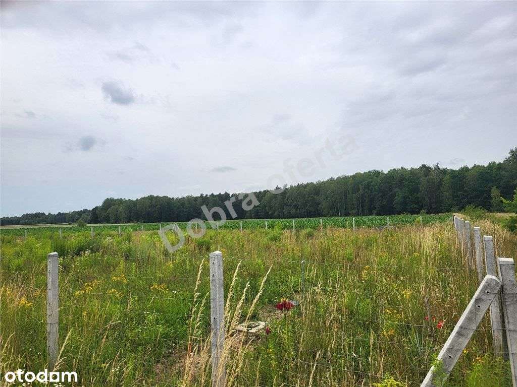 Oferta doskonała dla rodziny-6