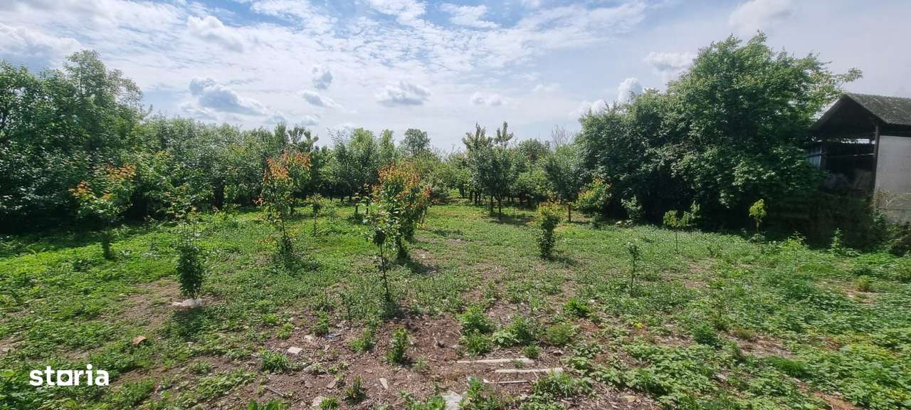 Casă 6 camere, livadă, 3 199 mp, Girisul Negru, Bihor. 35 000 E - Imagine principală: 5/20