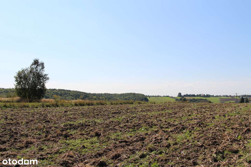 Działka budowlano - rolna przy Parku Ojcowskim-12