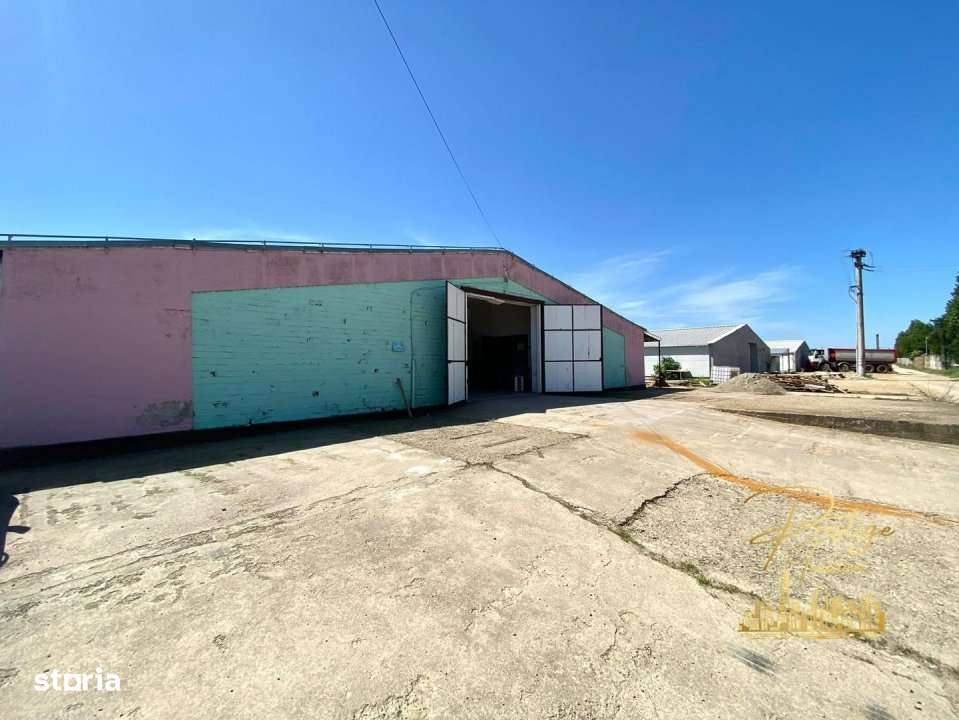Hala 470 mp de inchiriat in Palota - Bihor - Imagine principală: 4/5