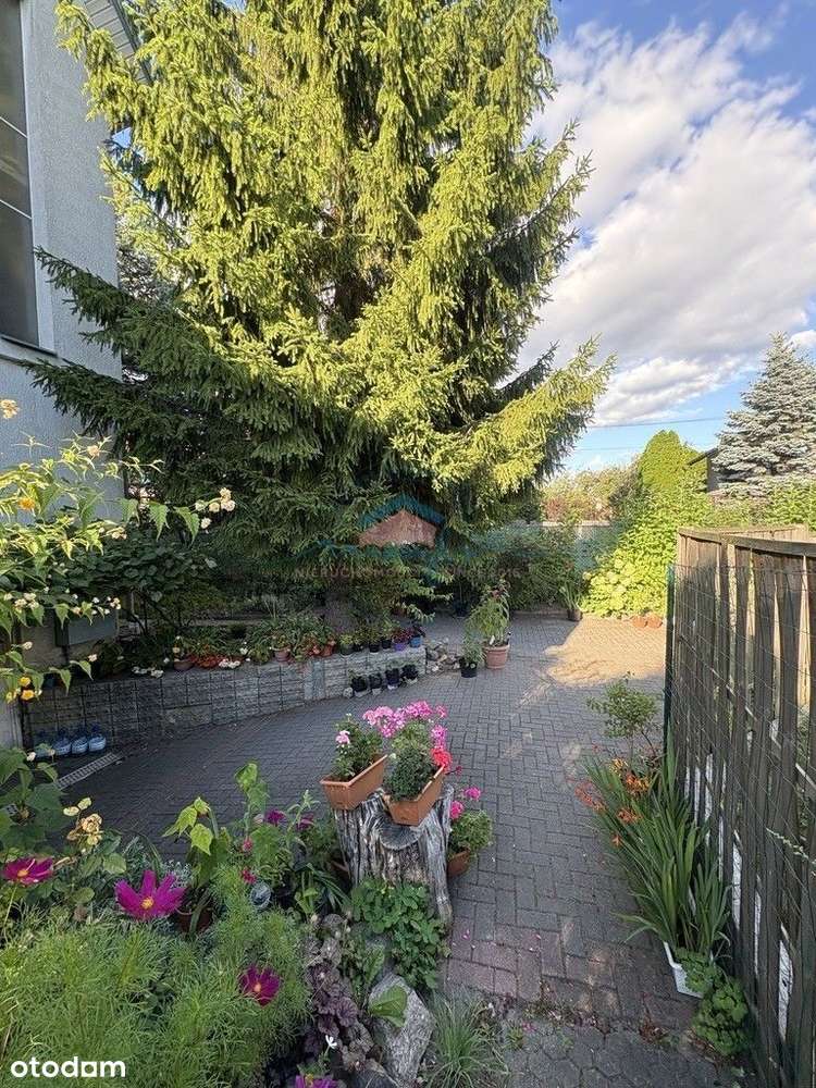 Duży dom w lubianej okolicy w okazyjnej cenie! - Pełny obrazek: 3/15