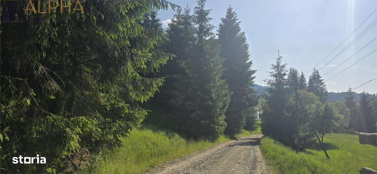 Teren intravilan de vanzare in Colibita - Imagine principală: 2/6