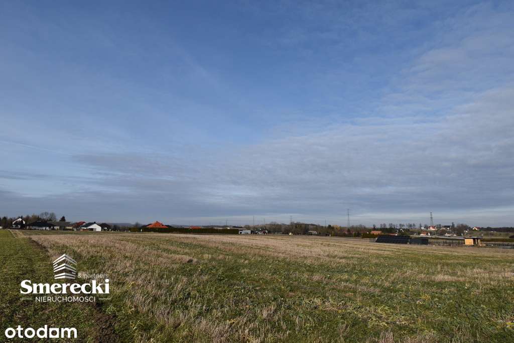 Działka rolna 30 arów w Janowie gmina Chełm! - Pełny obrazek: 5/7