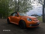 Volkswagen Beetle - 6