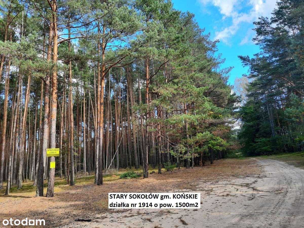 Sale -10% Najtańsza działka leśno-rolna 1500m2 tylko 9.900 zł-13