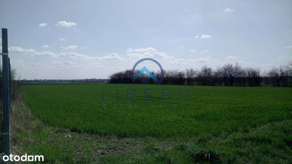 Kacice działka 4158 m2 Wz na 3 budynki mieszkalne - Pełny obrazek: 5/9