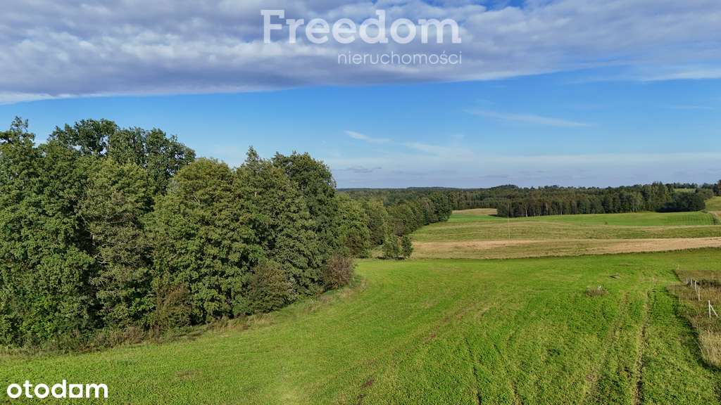 Działki budowlane Wronka k. Giżycka - Pełny obrazek: 5/14