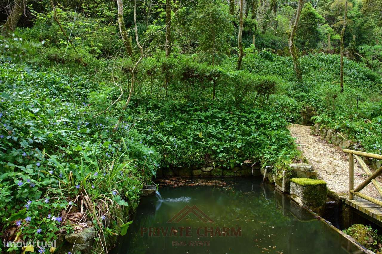 Quinta com área total de terreno 7.650m2-14