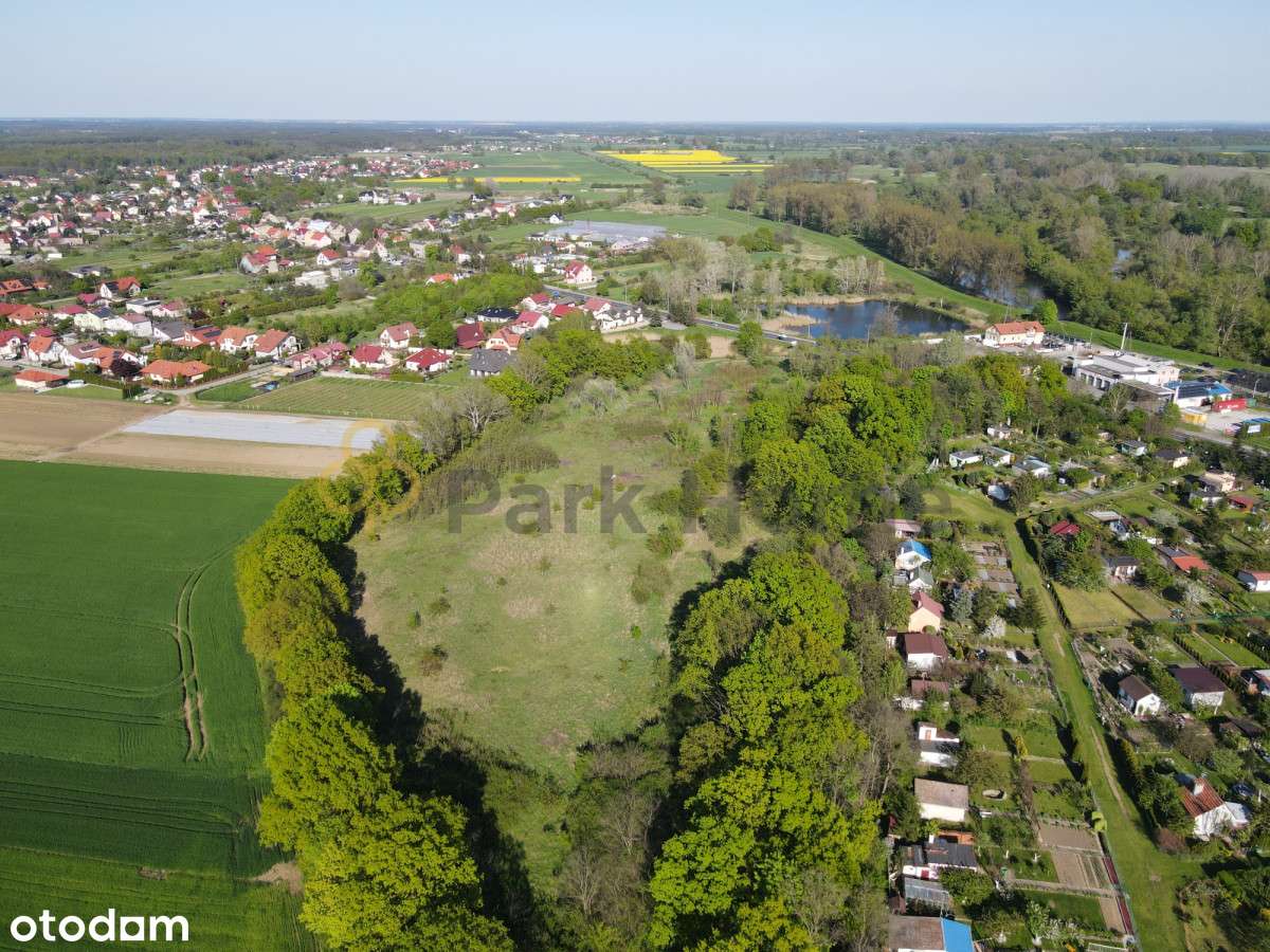 Działka inwestycyjna 1,89 ha w Głogowie! - Pełny obrazek: 5/13