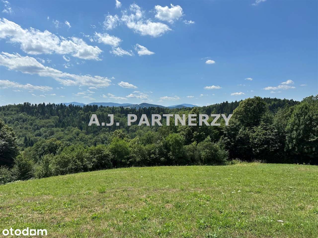 Działka w otoczeniu lasu z widokiem na góry-7