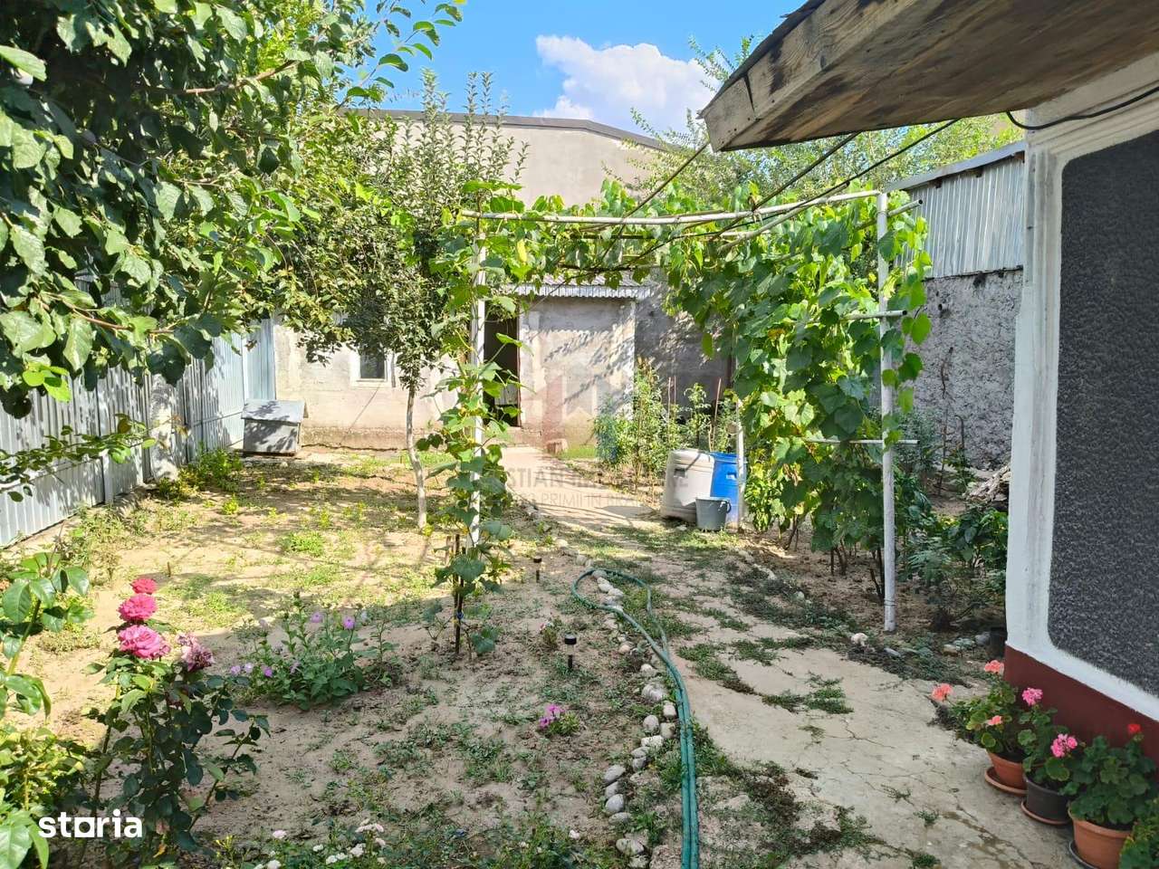 Casa 4 camere, Radu Negru, Teren - 264 mp - Imagine principală: 4/12