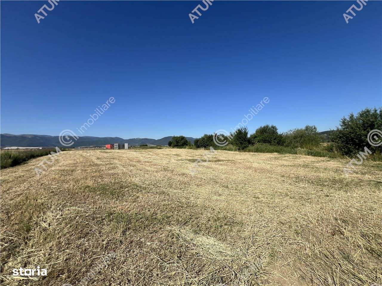 Teren extravilan de 10400 mp cu 2 deschideri in Cristian zona Serelor - Imagine principală: 5/8