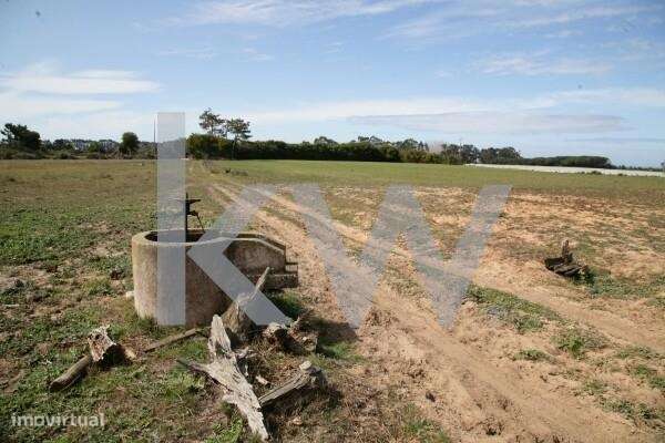 Seisseira - Grande imagem: 5/7