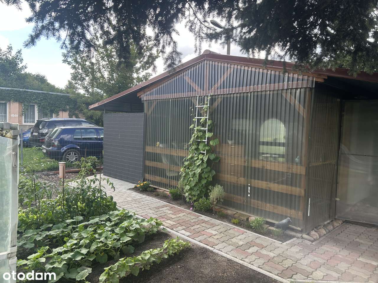 Zjawiskowa działka ROD na Czyżkówku. - Pełny obrazek: 2/14