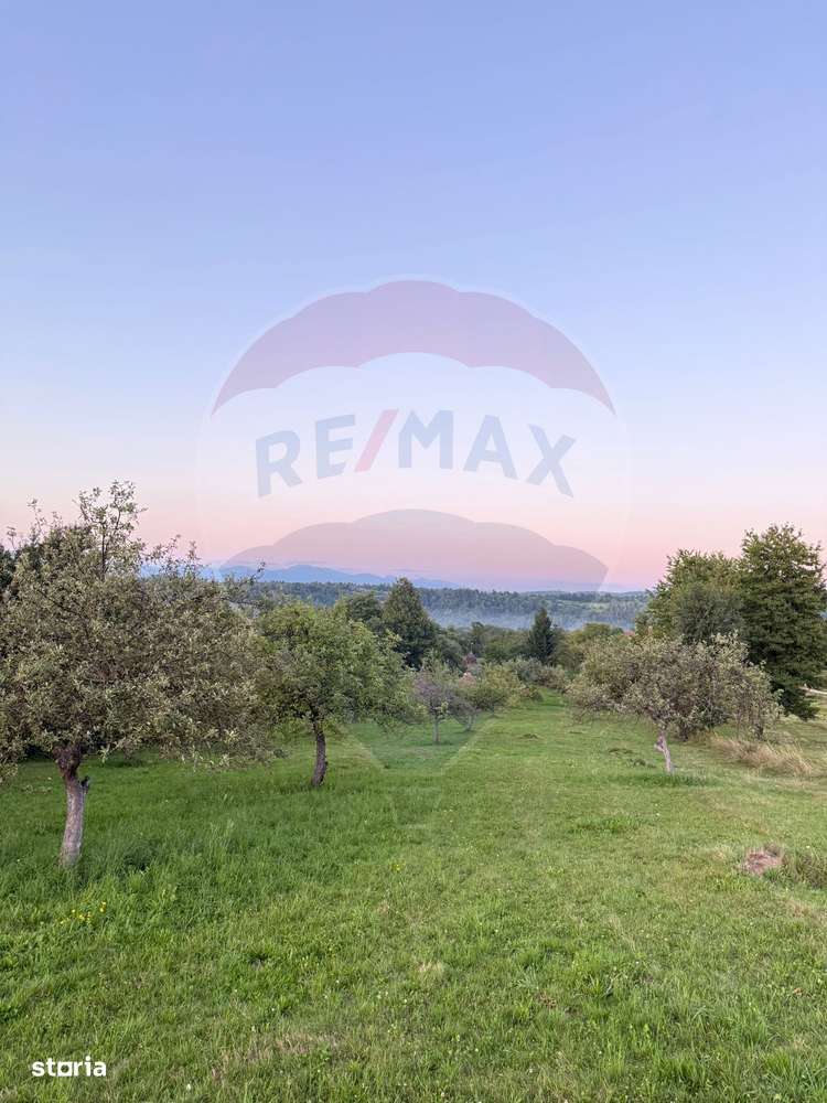 Teren în cea mai turistica localitate din Romania - Breb / Maramureș - Imagine principală: 2/4