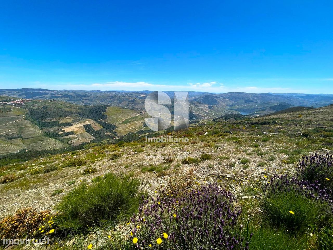 Terreno de 175000 m2 em Gouvães