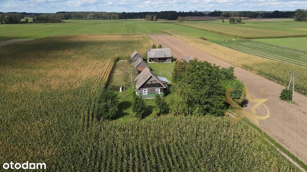 Siedlisko w Grądach, gm. Knyszyn - Pełny obrazek: 5/17