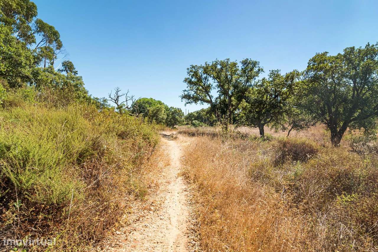 Terreno urbano em São Sebastião (Setúbal) com 17000m2-29