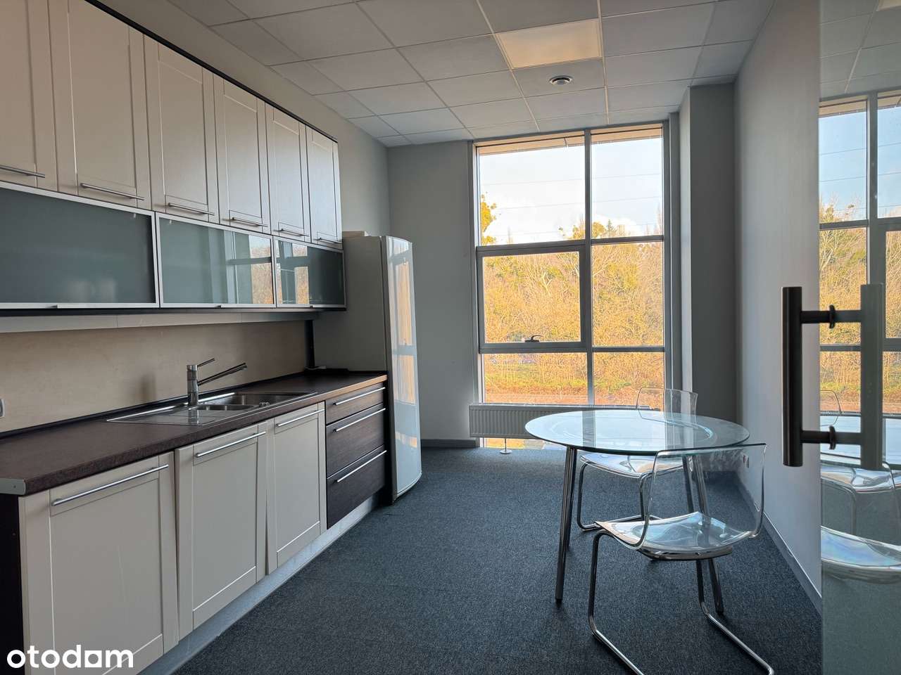 Reprezentacyjny obiekt biurowo - mieszkalny, znakomita lokalizacja.-9