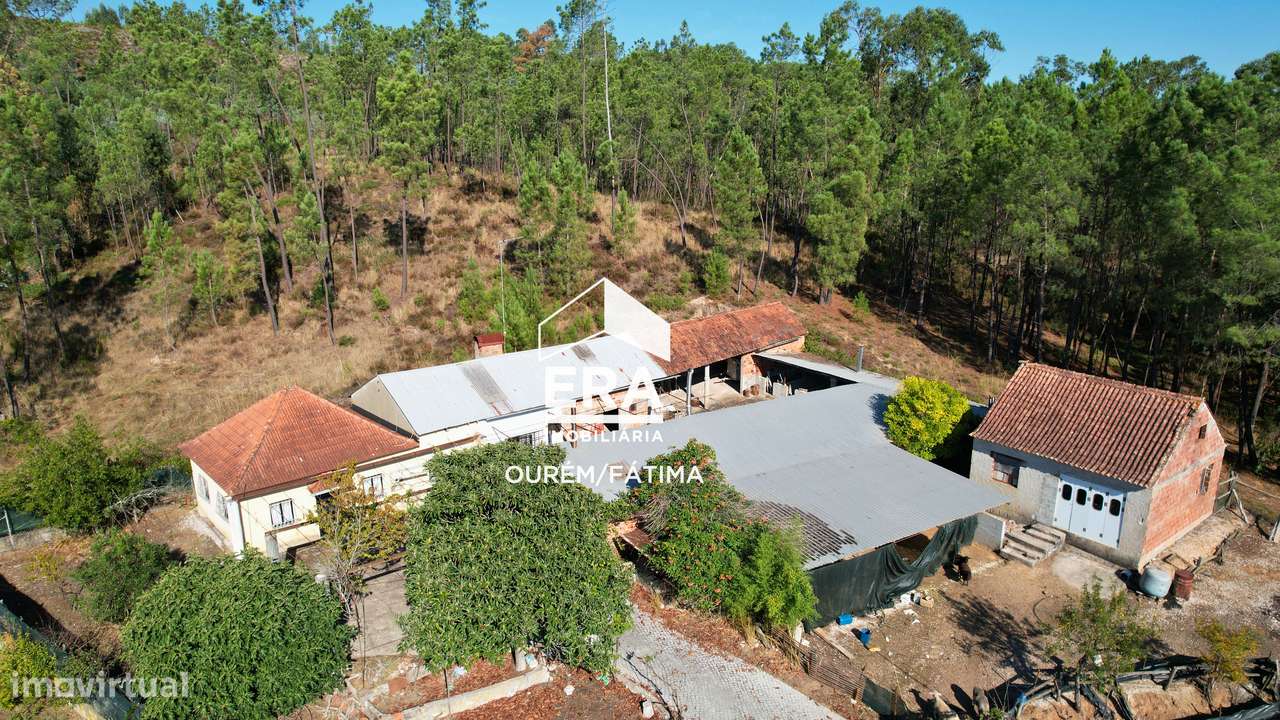 Moradia T3 implantada num terreno com 3.855m2 em Casal Domingos João-25