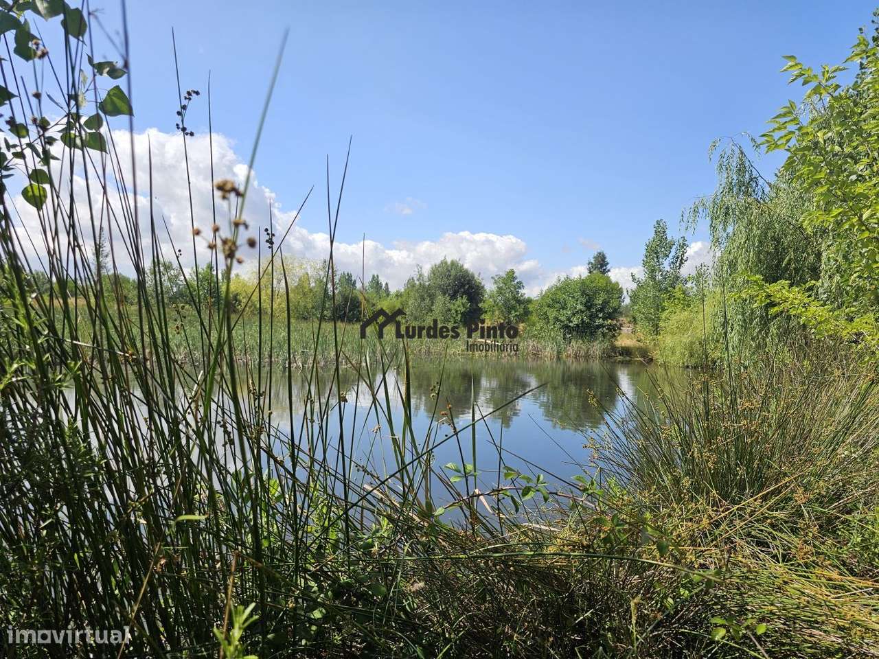 Quinta com habitação-14