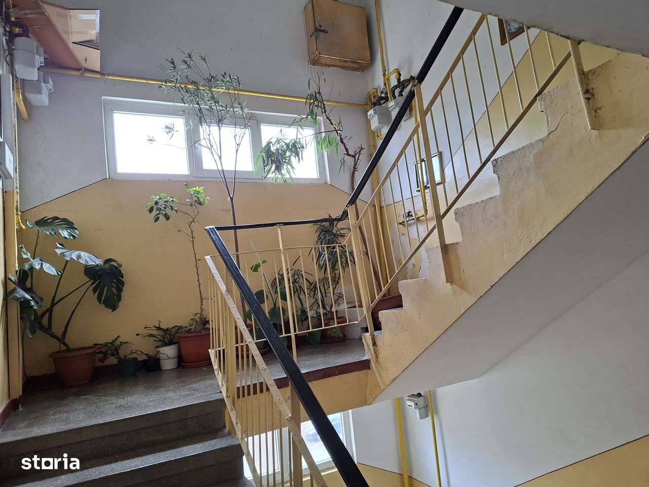 4 camere Banat , Decomandat / Centrală , Amplasament DEOSEBIT-13