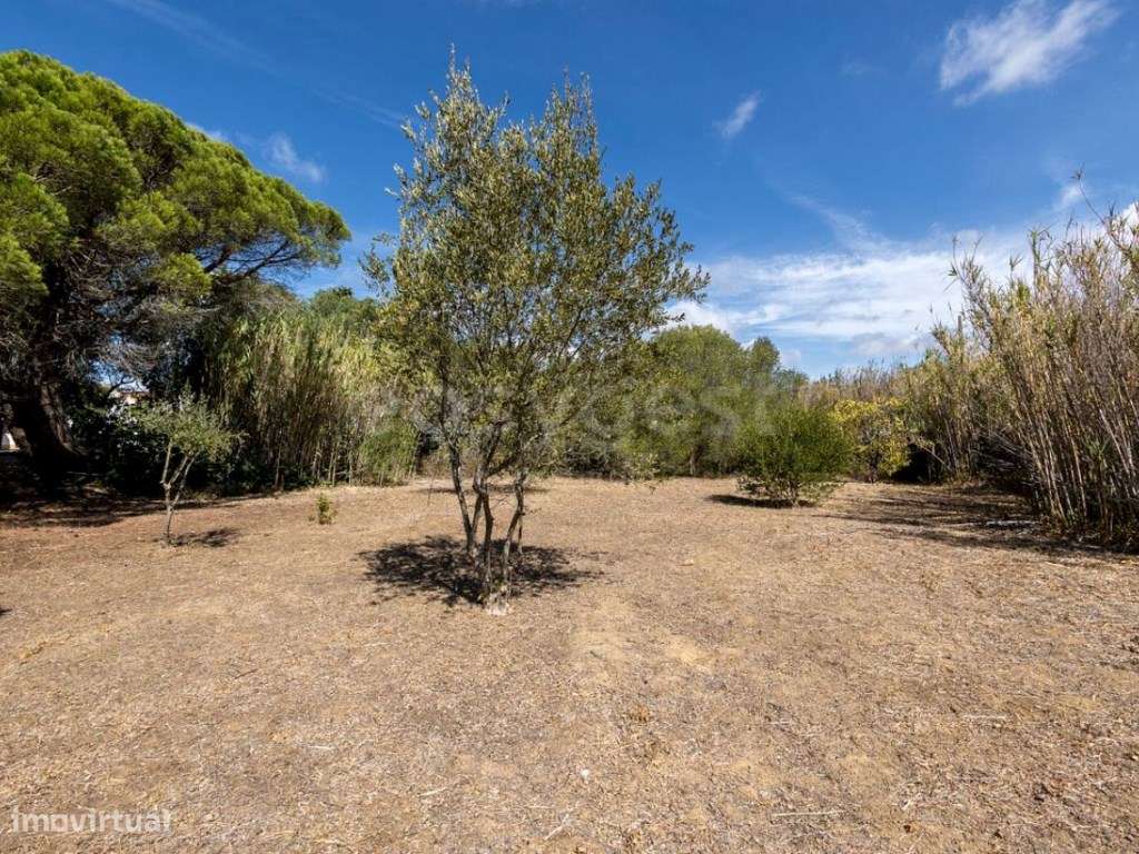Quinta em Cascais com 10.000m2 - Grande imagem: 3/60