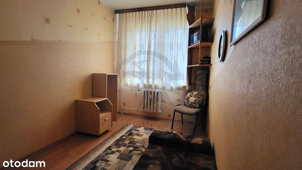 Radość i Gość - Pełny obrazek: 5/20