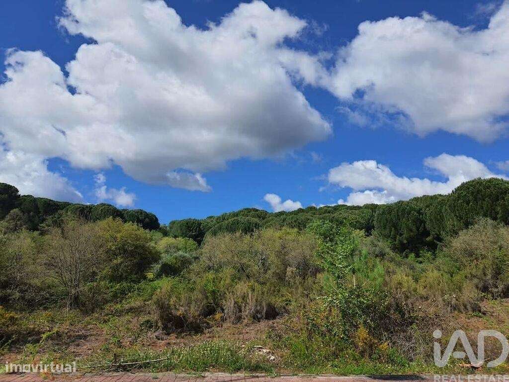 Terreno em Nossa Senhora da Piedade de 420,00 m2 - Grande imagem: 2/30