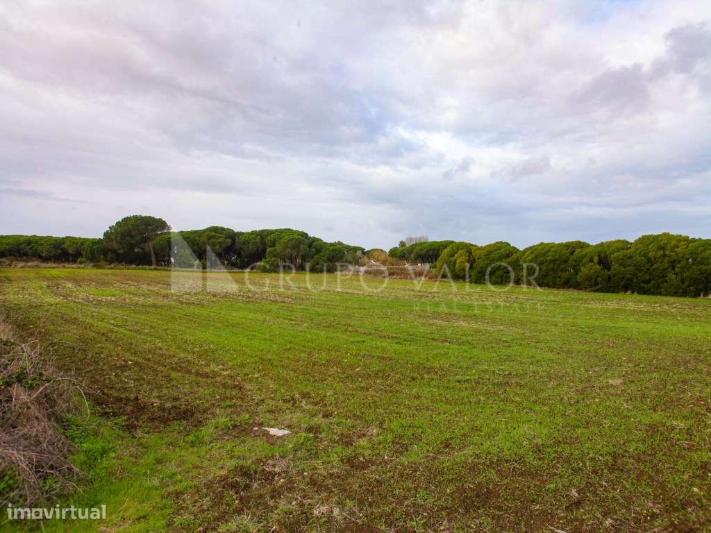 Terreno rústico bem localizado nas imediações do Magoito | Sintra - Grande imagem: 2/3