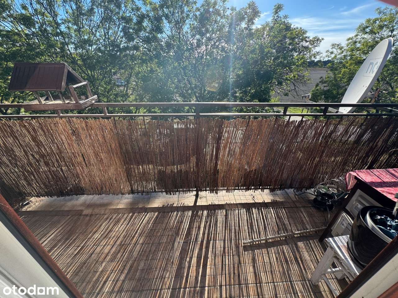 Oleśnica / Obrzeża/  Garaż / Piwnica / Teren Rekreacyjny-12