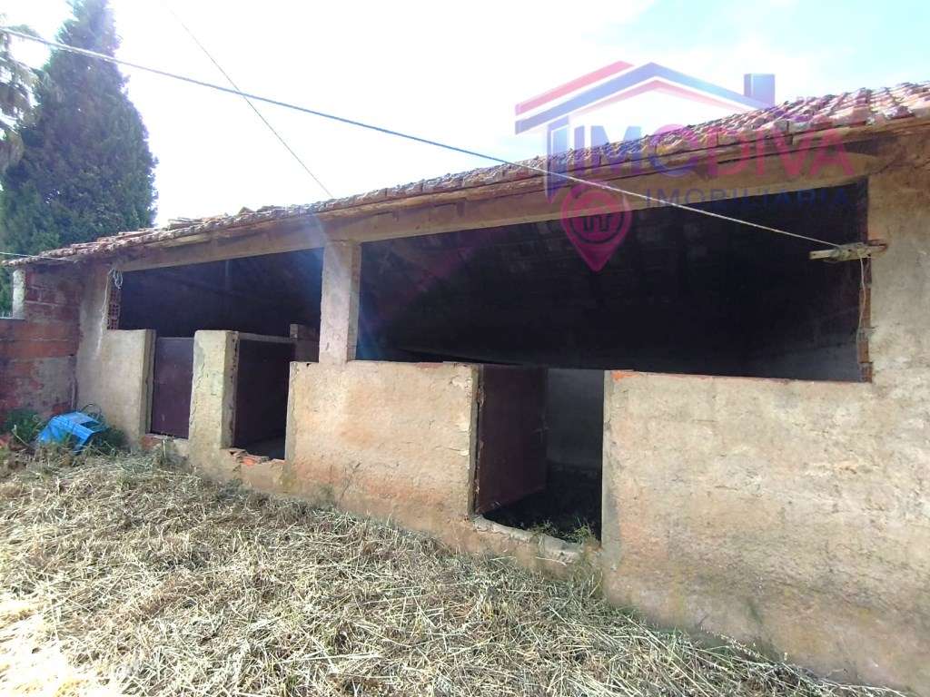 Moradia T3 com Terreno Plano de 1.000 m² a 5 minutos de Figueiró do...-25