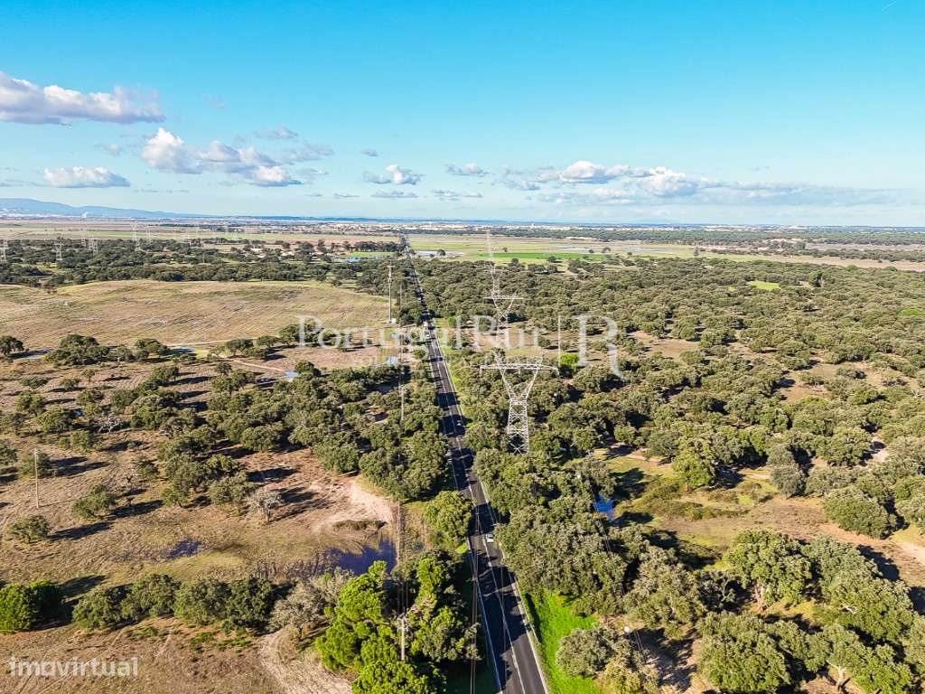 Herdade de 60 hectares para criação bovina e equina perto de Lisboa-30