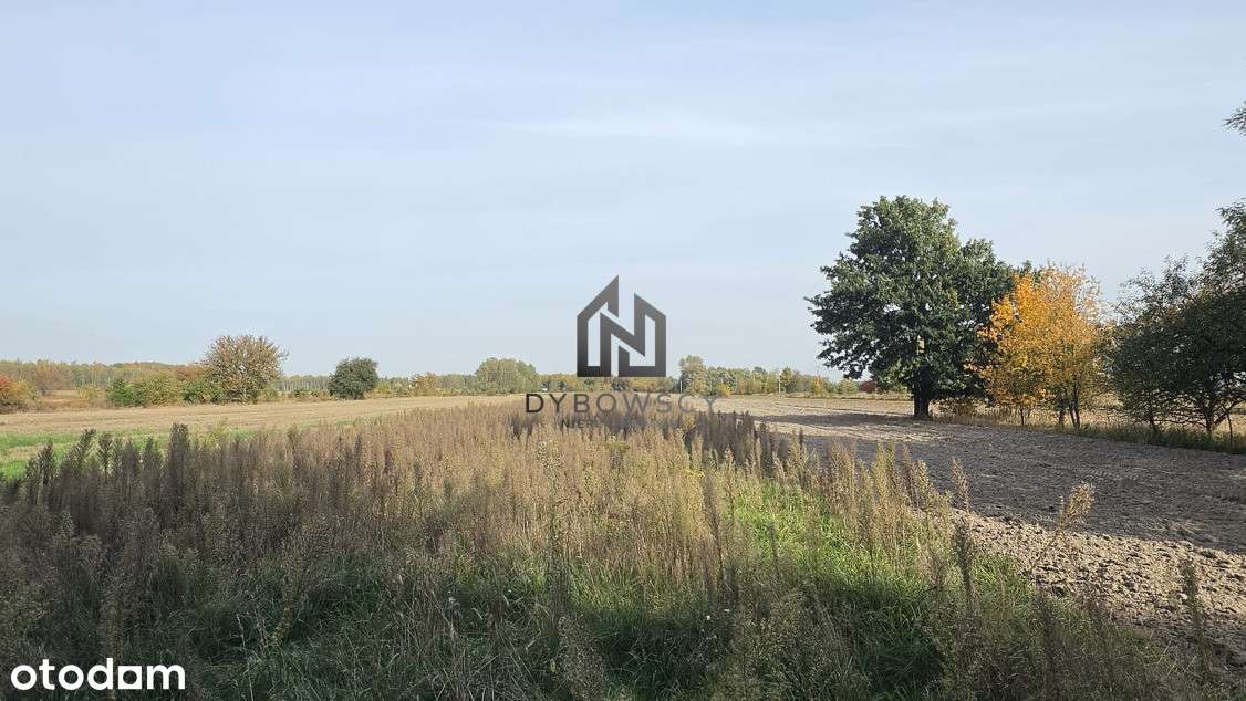 Rzakta gm. Wiązowna działka z WZ 9999m²-3