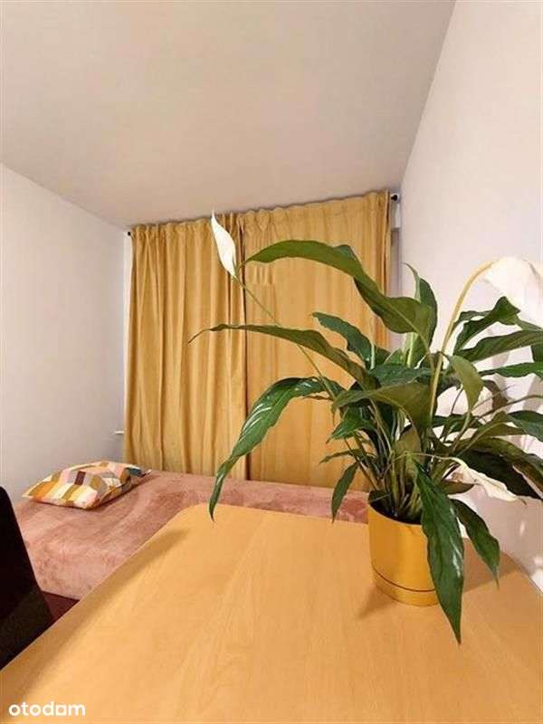 Mieszkanie - Sopot Kamienny Potok-6