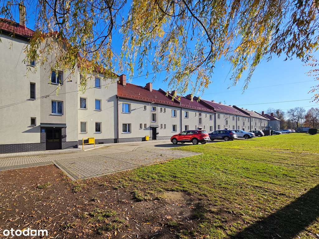 2 poziomy, po remoncie, umeblowane, Żabie doły-3