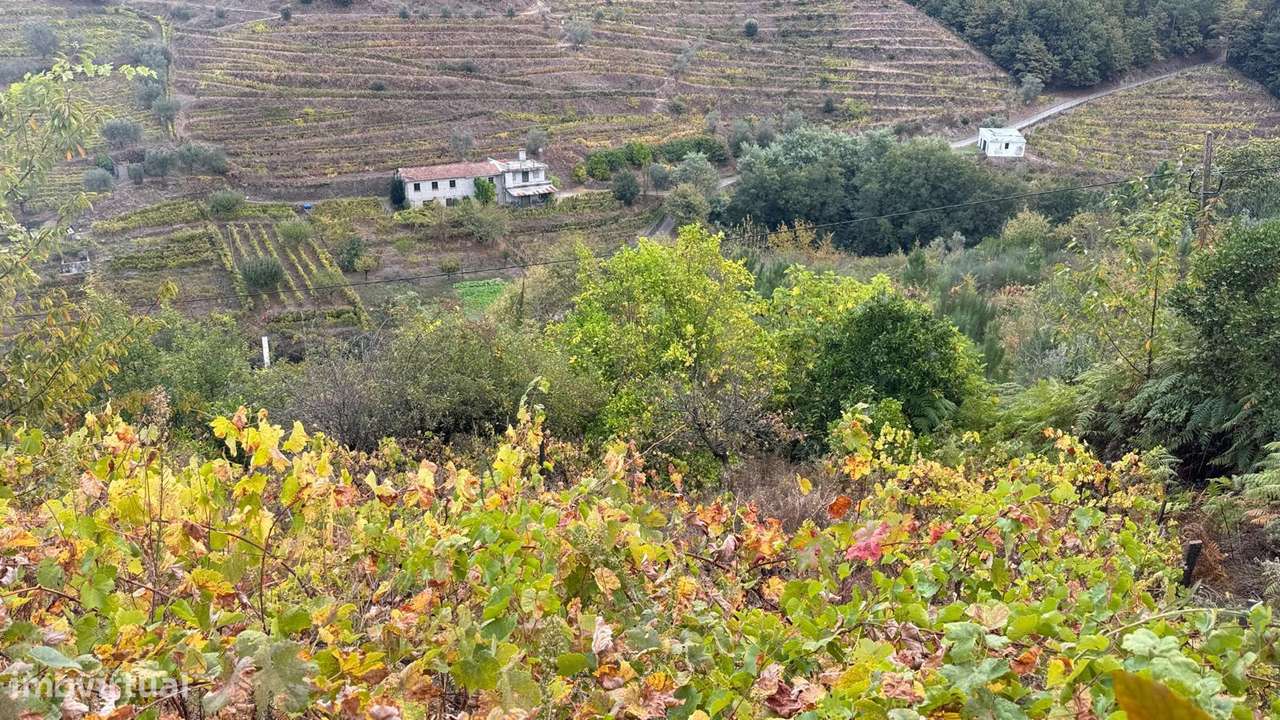 Quinta em Sedielos, Peso da Régua-7