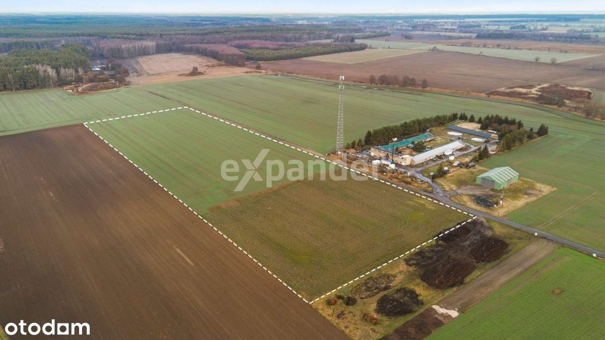 działka Miłocice sprzedam - Pełny obrazek: 5/5