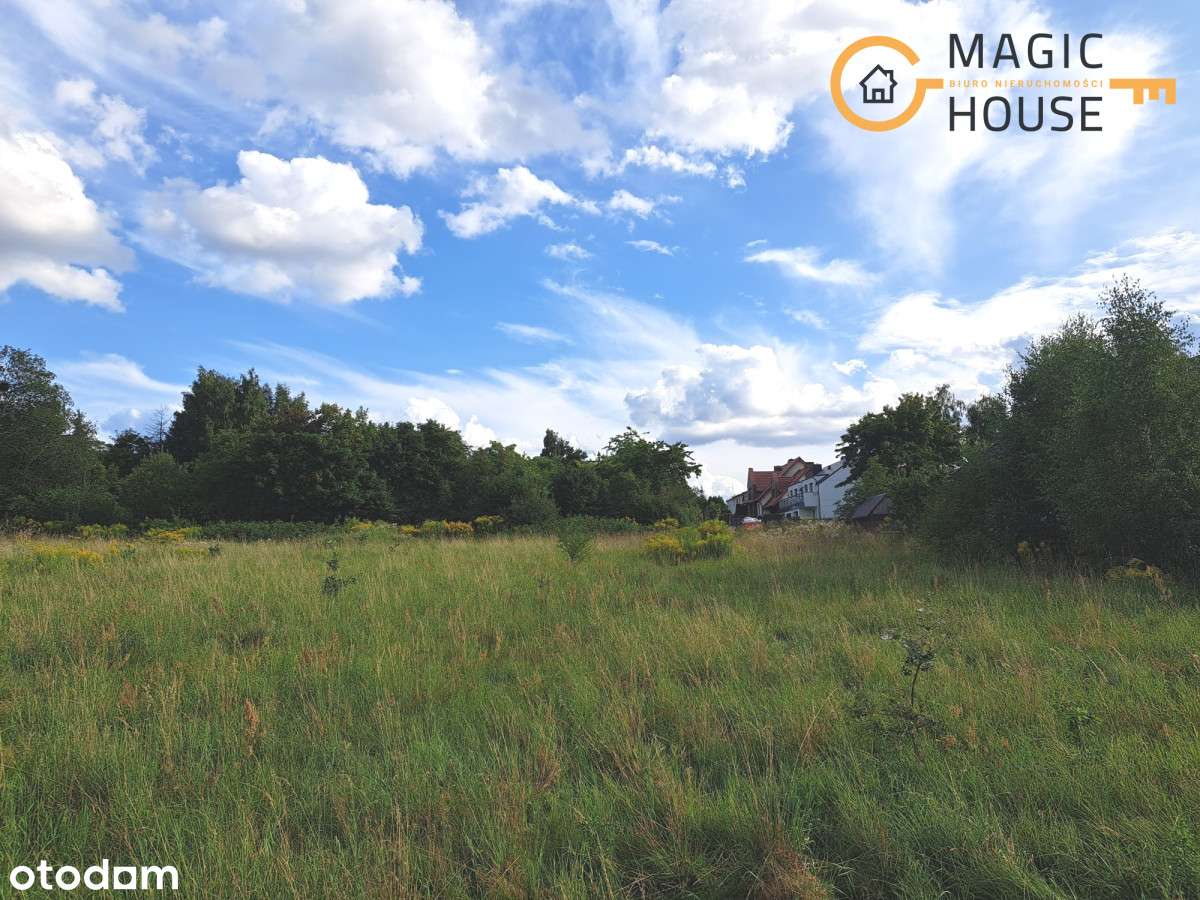 Świetna działka Chwarzno-Wiczlino - Pełny obrazek: 4/5