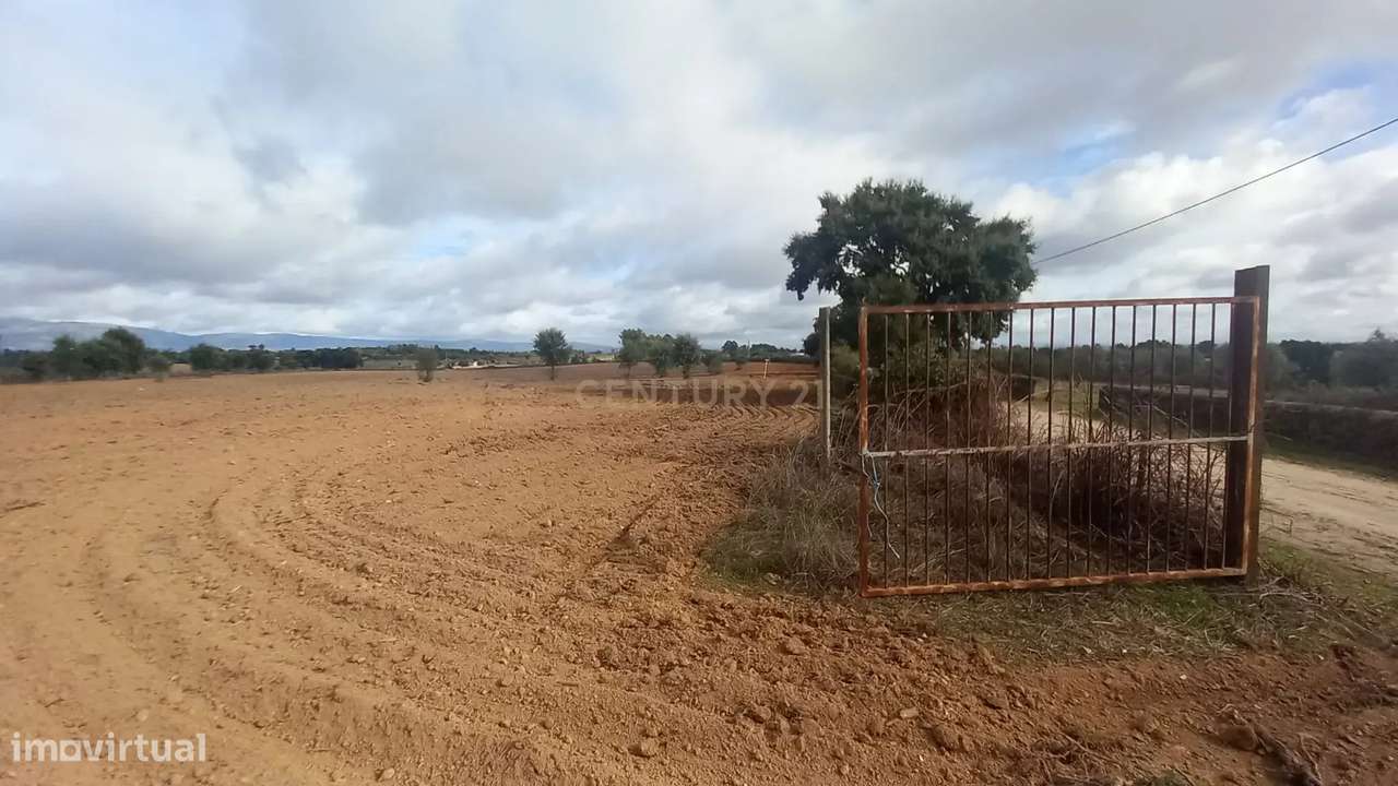 Terreno Rustico com 13500 M2 Lardosa - Grande imagem: 2/13