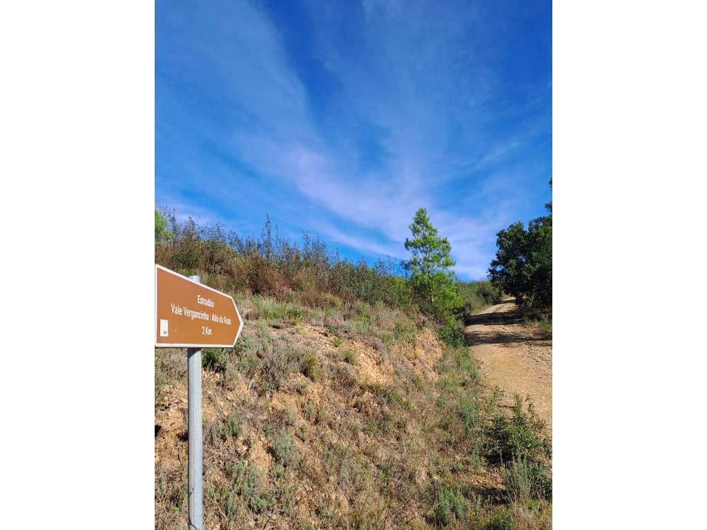 Próximo à Barragem do Vergancinho - Estrada Municipal 536. A curta ... - Grande imagem: 5/6