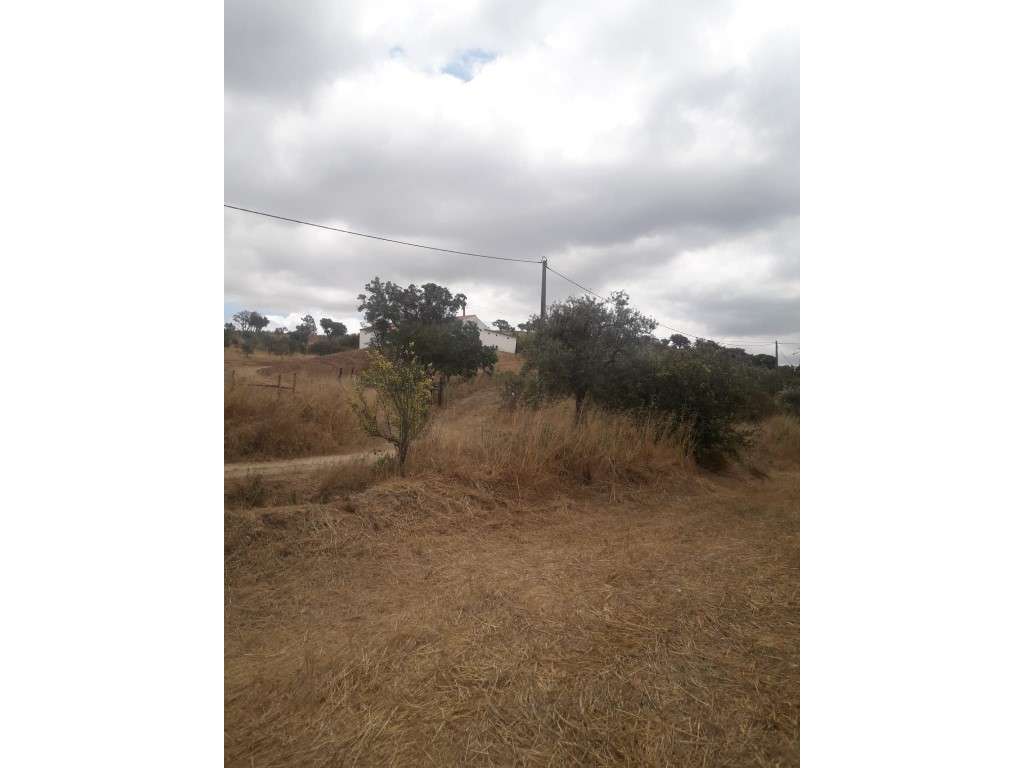 Monte Alentejano Venda Odemira-15