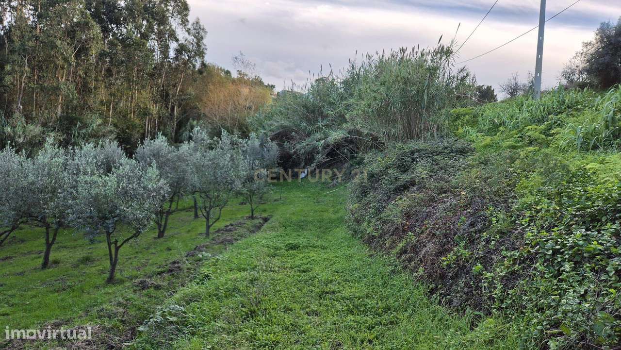 Terreno com 2119 M2 - Grande imagem: 5/9