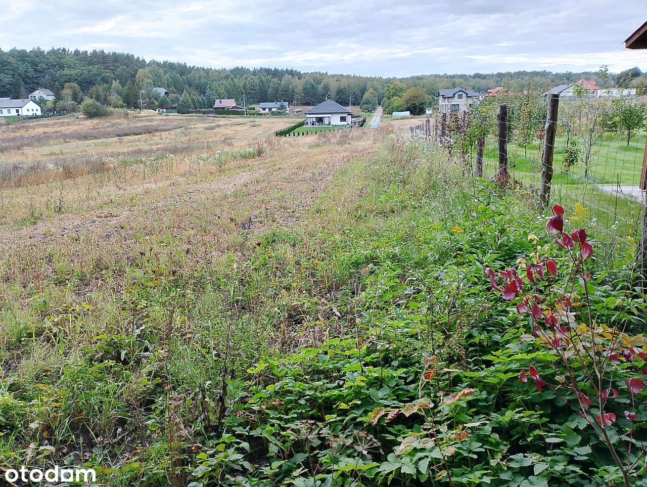 Atrakcyjna działka pod miastem - Pełny obrazek: 1/8