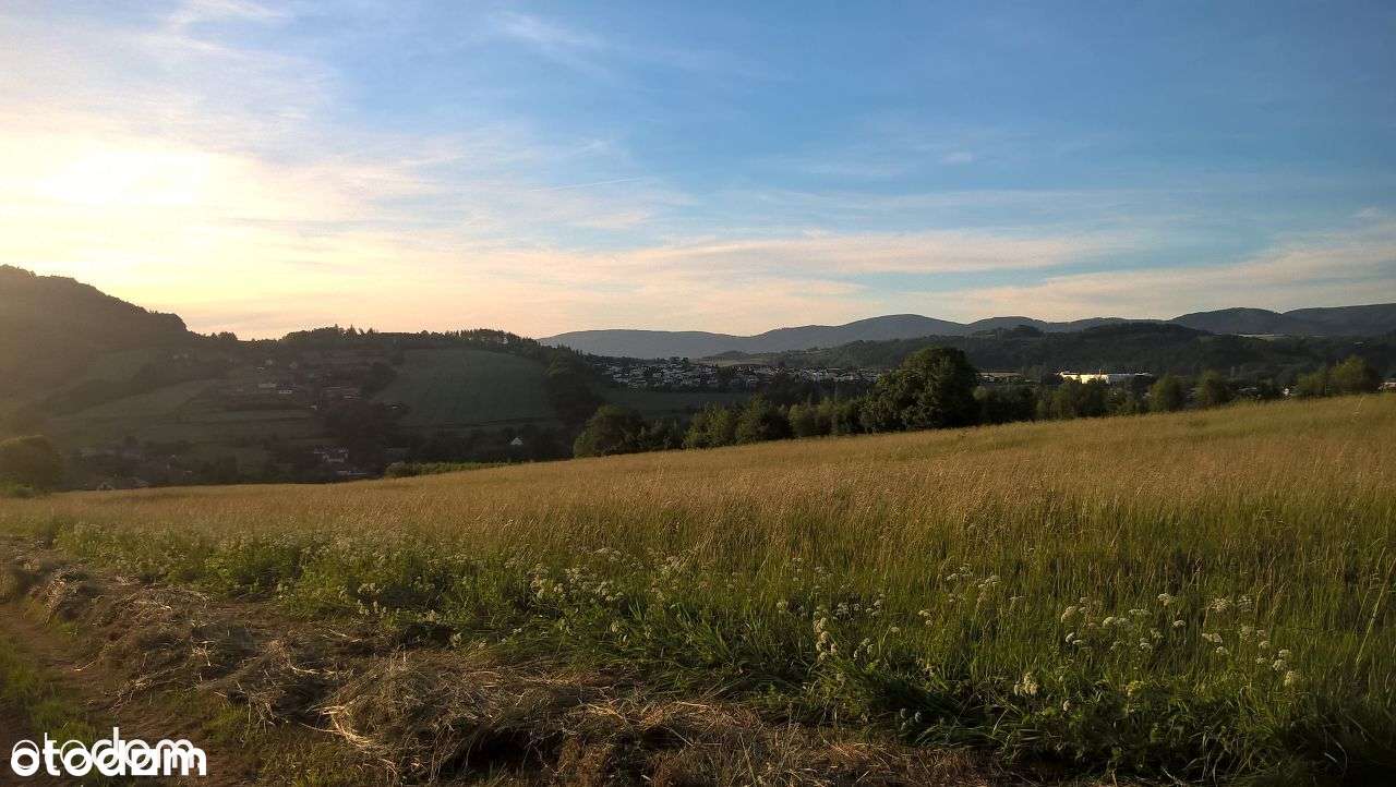 PROMOCJA JESIENNA. Sprzedam działkę Nowa Ruda Słupiec ul. Kasztanowa - Pełny obrazek: 3/15